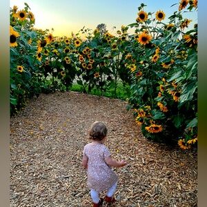 Meet your Posher, Avah